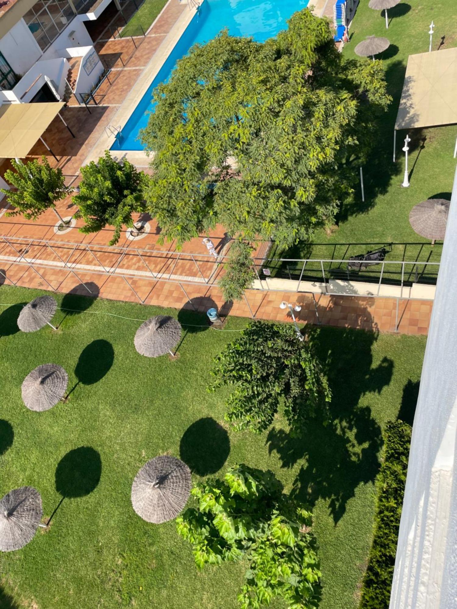 Estudio Apartamento Lalola Matalascañas Dış mekan fotoğraf